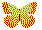 butterfly-orange